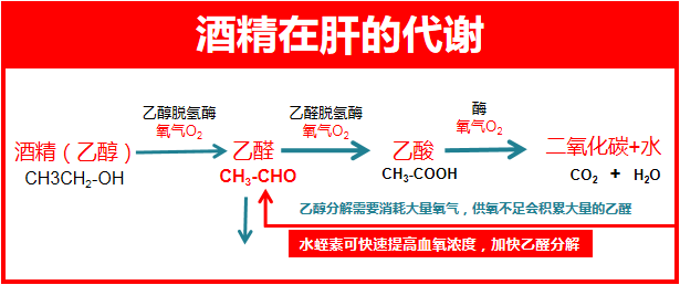 水蛭素、小蛭仙酒、酱香水蛭酒