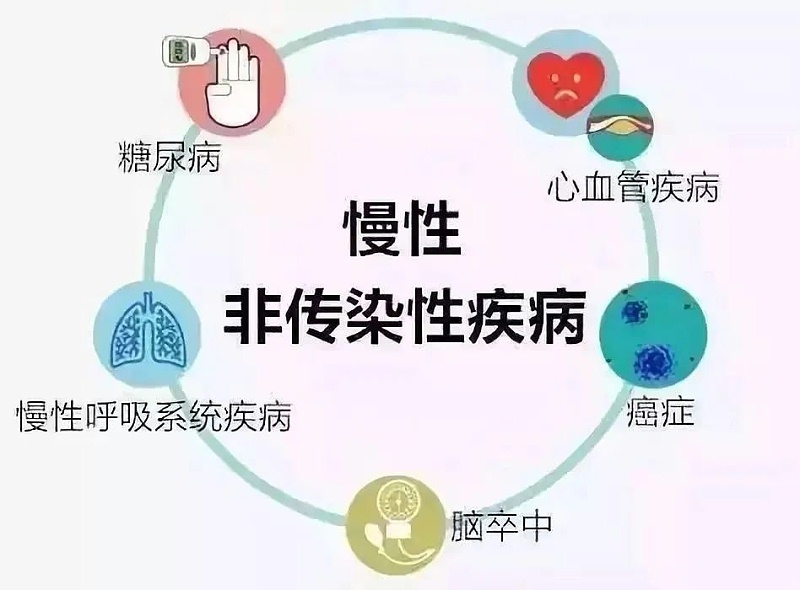 水蛭素、壮医水蛭疗法、培训