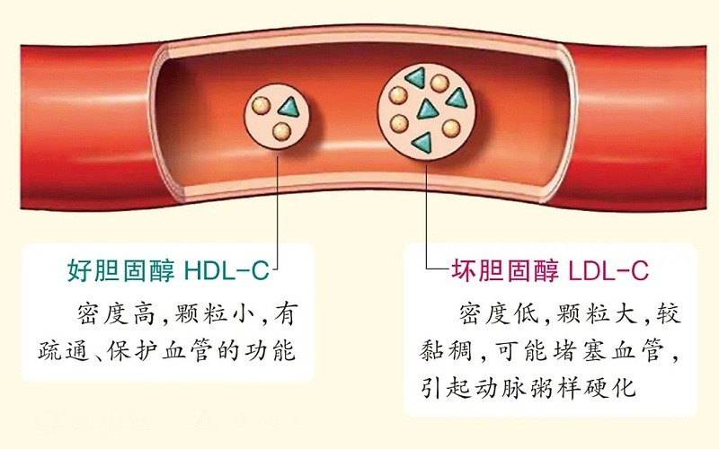 水蛭素、胆固醇、壮医水蛭疗法培训