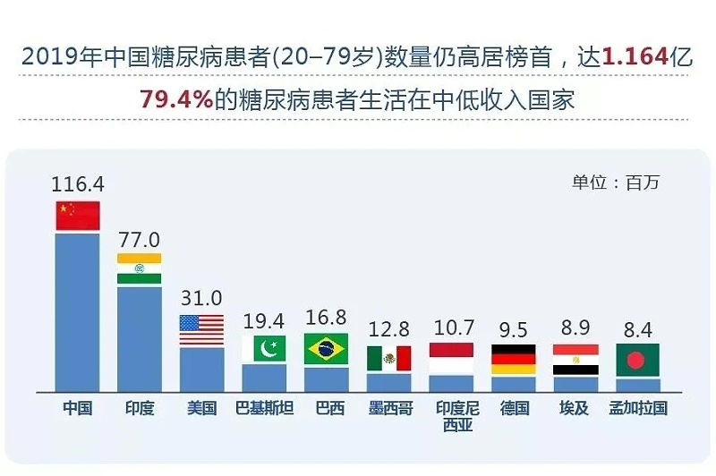 水蛭素、血糖、糖尿病