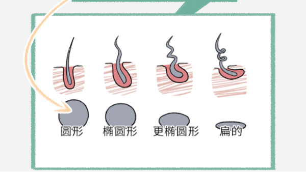 头发软VS头发硬，到底哪个更好？答案让人大吃一惊！