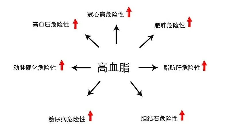 水蛭素、血脂高、血脂异常