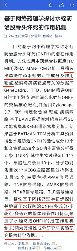 水蛭素-股骨头坏死-水蛭通脉汤